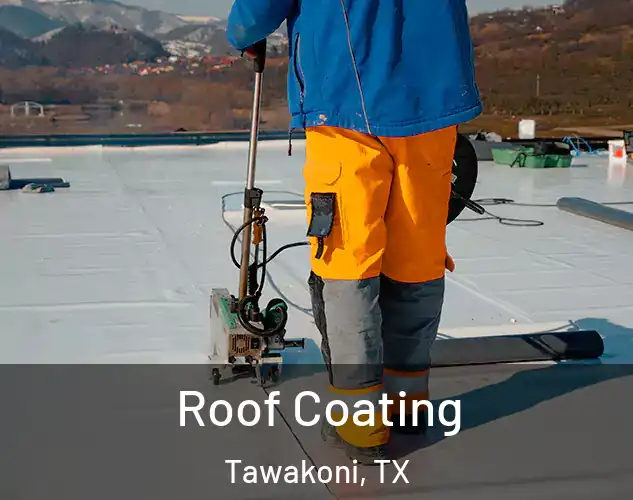  Roof Coating Tawakoni, TX
