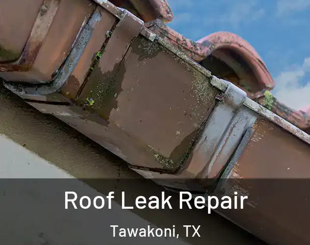  Roof Leak Repair Tawakoni, TX