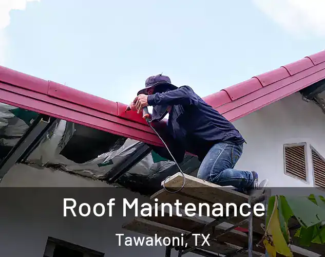 Roof Maintenance Tawakoni, TX